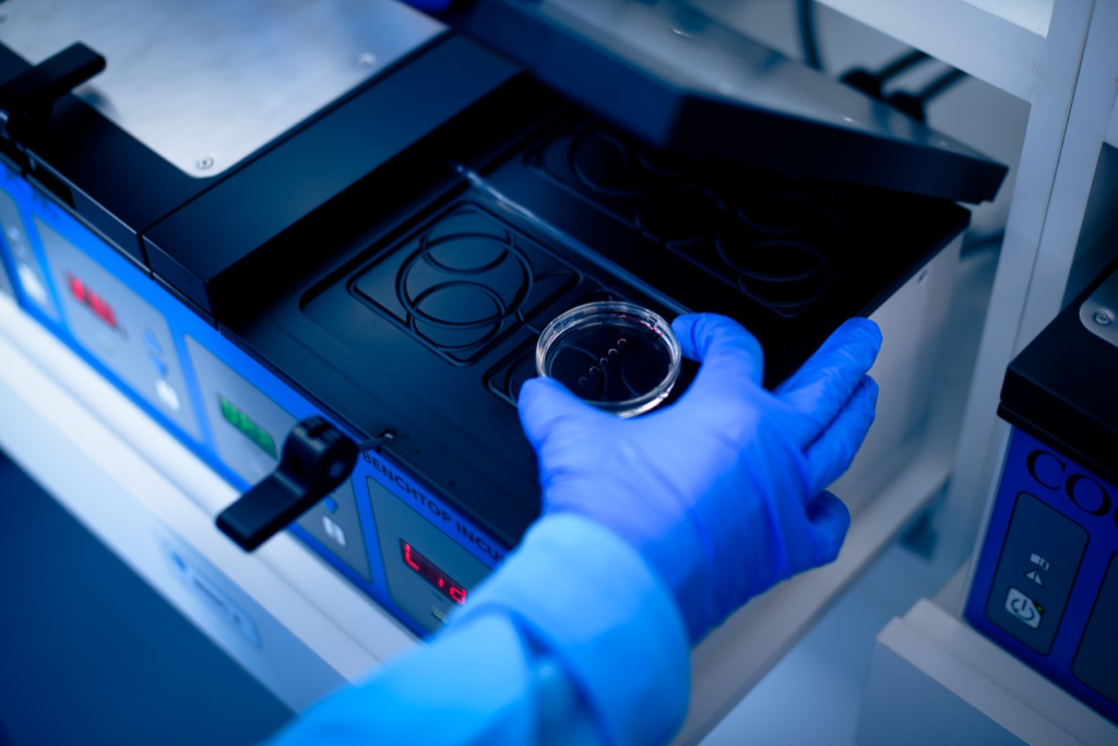 Projeto Social da Humana Medicina Reprodutiva viabiliza o congelamento de óvulos para preservação da fertilidade, em Goiânia Saúde