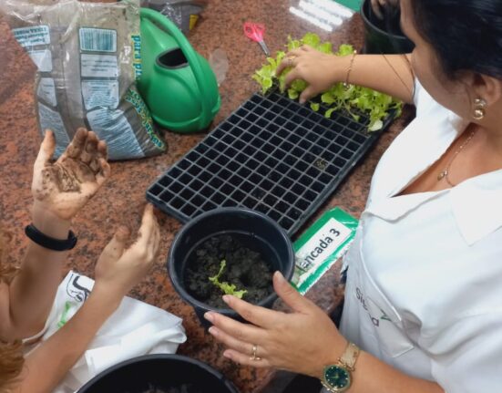 Projeto Horta: incentivo ao consumo de hortaliças desde cedo campanha solidária