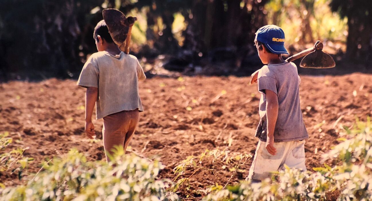 Exposição celebra o Dia de Combate ao Trabalho Infantil com acervo de fotografias clicadas por auditores fiscais em 1990 Eventos