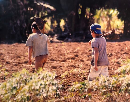 Exposição celebra o Dia de Combate ao Trabalho Infantil com acervo de fotografias clicadas por auditores fiscais em 1990 Música