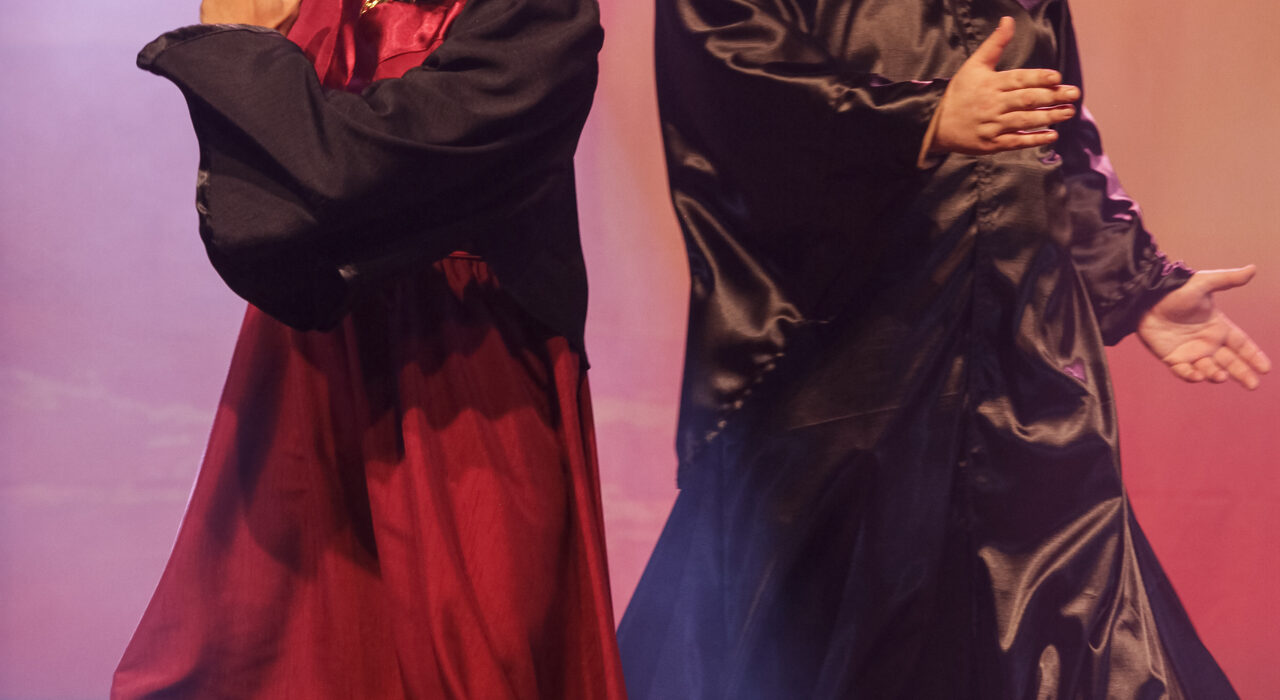 “Acorda DF - A Comédia de Brasília e Entorno" Teatro