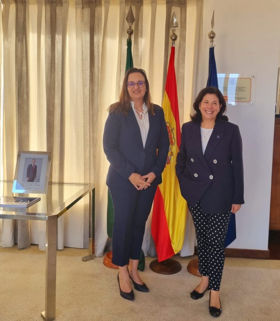 Cooperação entre as administrações tributárias da Espanha e do Brasil Internacional