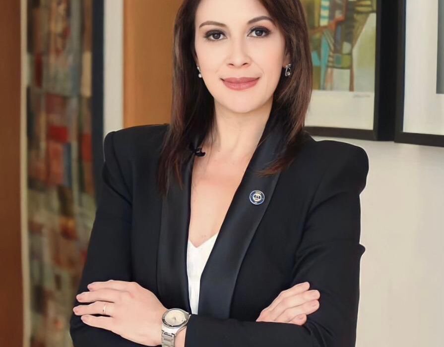 Mãe pratica sequestro internacional de sua filha, mas justiça americana determina retorno da criança para pai, no Brasil Notícias