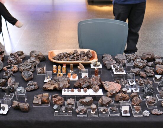 MM Gerdau promove 10º Encontro de Colecionadores de Minerais Notícias
