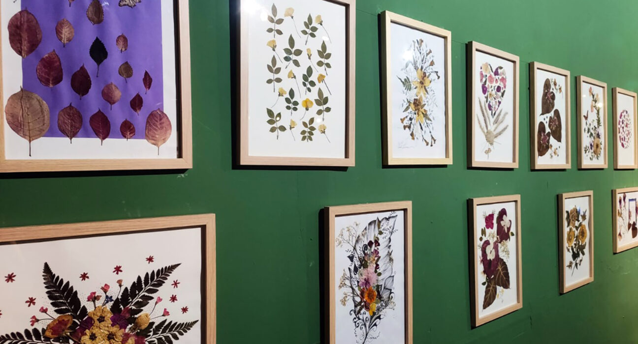 Última semana para conferir a Exposição de Flores Prensadas no DF Plaza Cultura