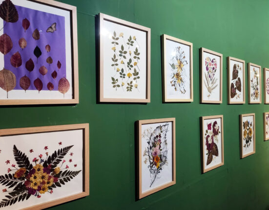 Última semana para conferir a Exposição de Flores Prensadas no DF Plaza Cultura