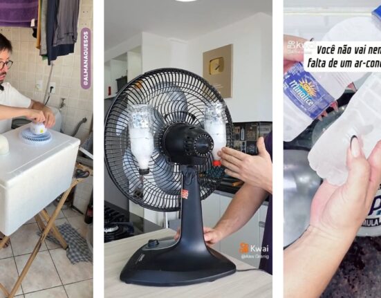 Ar-condicionado caseiro, plantas e truque do balde: confira técnicas da web para combater o calor Cultura