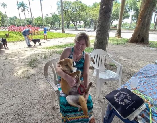 Campanha da Suipa Colunismo Social