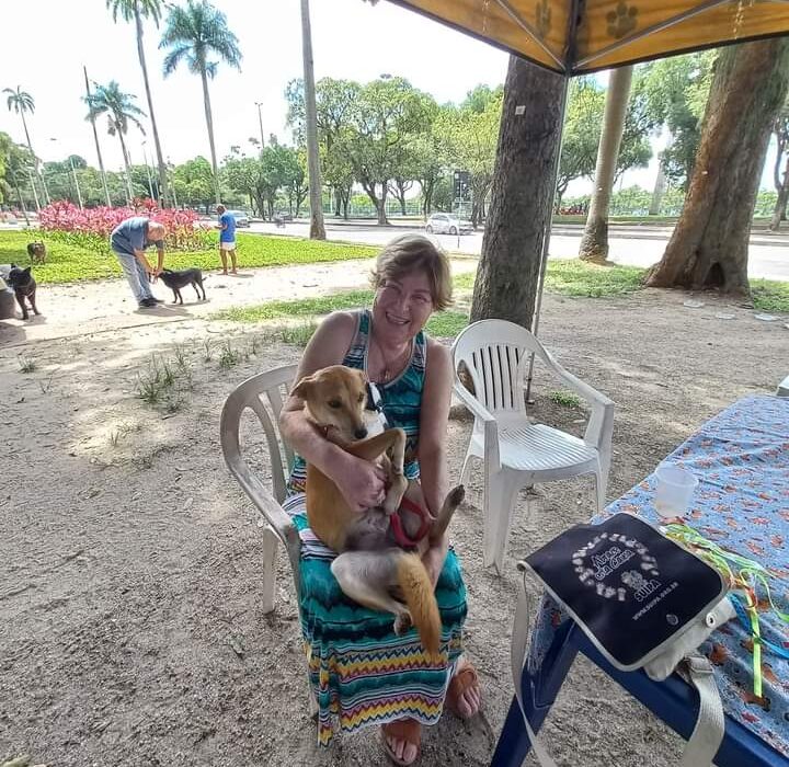 Campanha da Suipa Colunismo Social