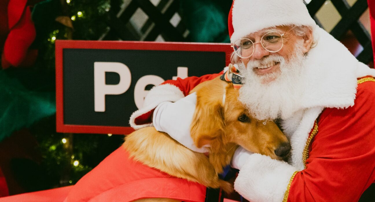 Pets terão dia especial com Papai Noel do Conjunto Nacional Eventos