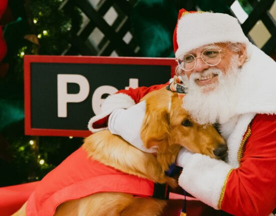 Pets terão dia especial com Papai Noel do Conjunto Nacional Eventos