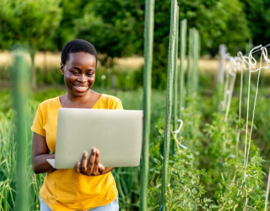 Agroindústria já pode aderir ao programa da Receita Federal que libera pagamento de dívidas tributárias sem juros Rio de janeiro
