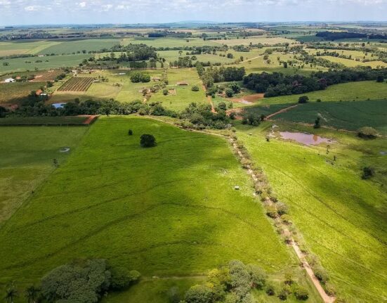 Passo a passo para garantir a preferência na compra de fazenda arrendada ou em parceria rural Geral