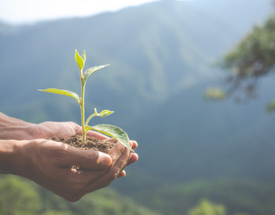 Empresas precisam estar atentas a particularidades dos processos de responsabilidade ambiental Geral