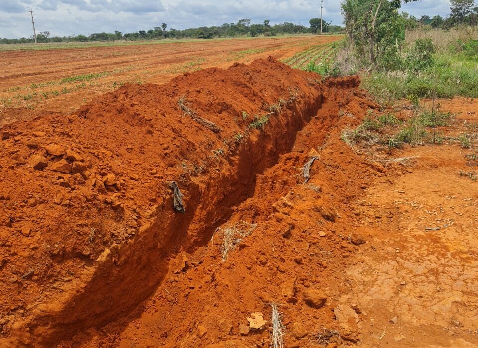 Justiça suspende destruição de lavoura de feijão no Jardim Botânico Notícias