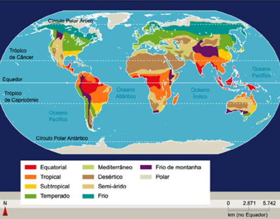 Declaração conjunta de apoio ao Plano Brasileiro de Transformação Ecológica Carnaval