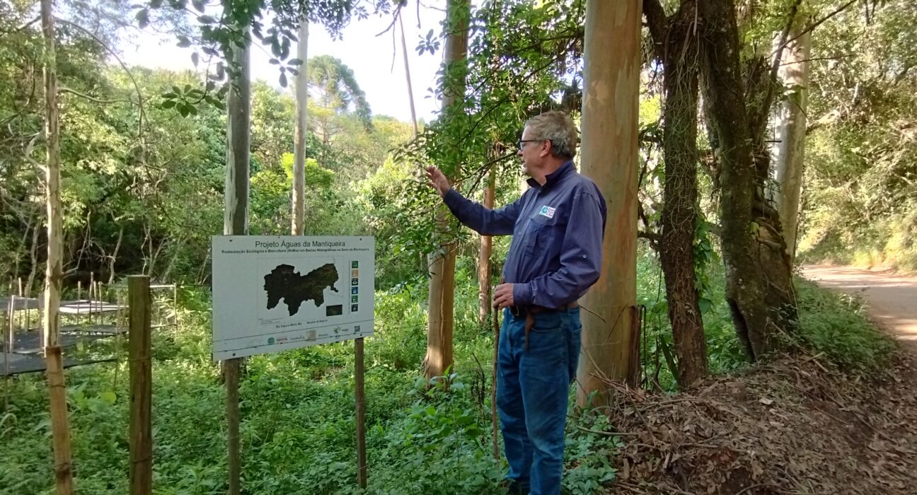 Como projeto na Serra da Mantiqueira vem contribuindo para desenvolvimento sustentável e restauração ecológica de áreas nativas agro