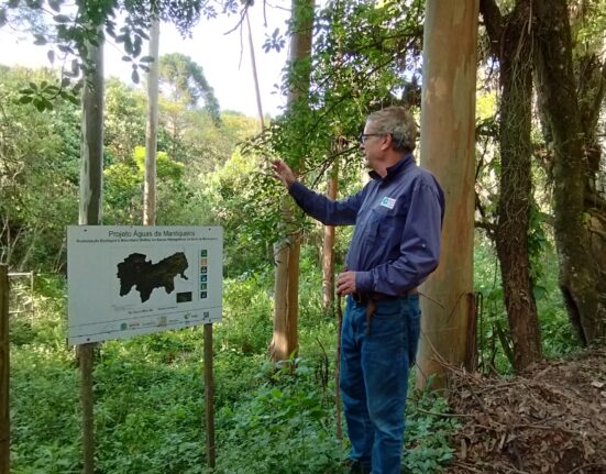 Como projeto na Serra da Mantiqueira vem contribuindo para desenvolvimento sustentável e restauração ecológica de áreas nativas Notícias