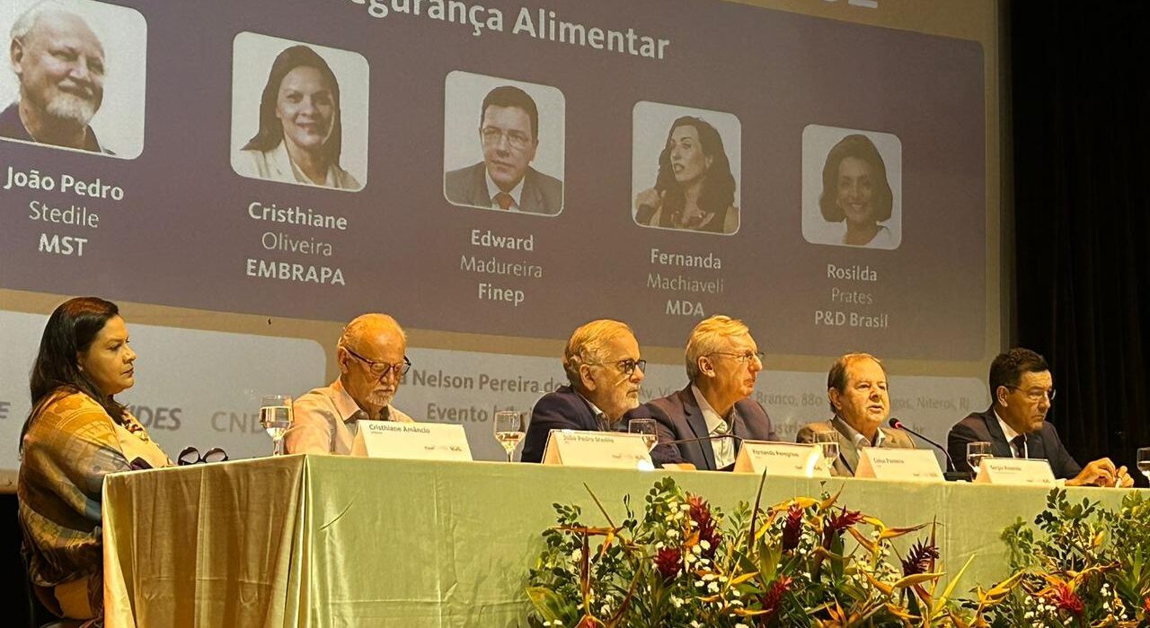Último seminário da FINEP Colunismo Social