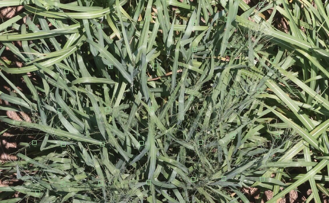 Mercado sucroenergético está em alta e demonstra potencial para adoção de tecnologias agro