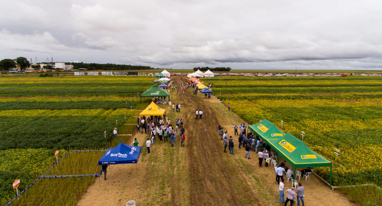 Dia de Campo da Competição de Cultivares de Soja da AgroBrasília 2024 terá 16 empresas que apresentarão 64 materiais agro