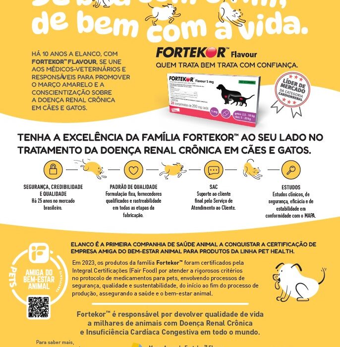 Março Amarelo: há uma década, campanha conscientiza sobre a Doença Renal Crônica em cães e gatos Notícias