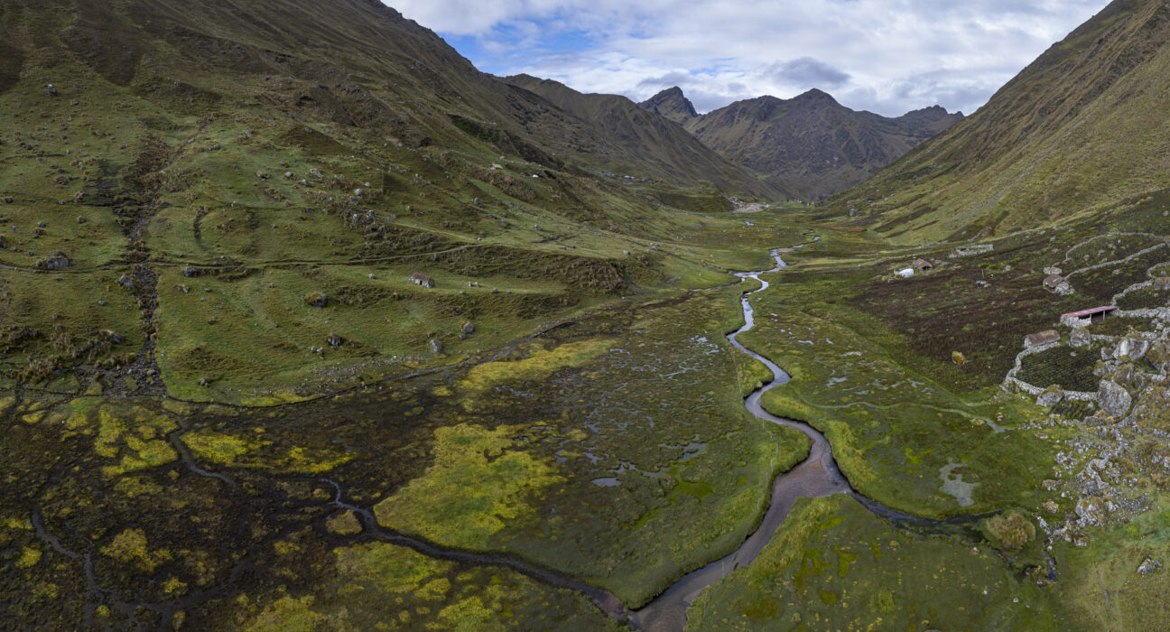 Novo estudo afirma que ações de conservação funcionam e são essenciais para reverter a perda da biodiversidade Notícias