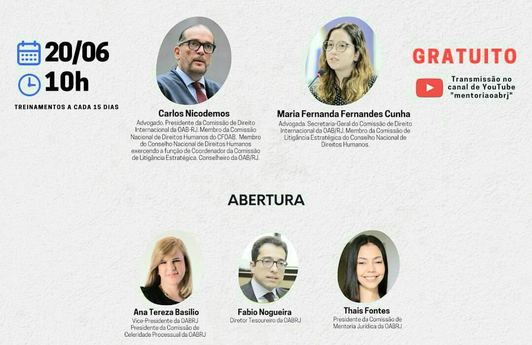 Litígio Estratégico na Advocacia Colunismo Social