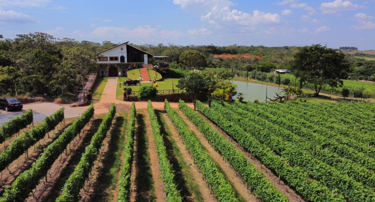 Distrito Federal sedia evento que reunirá a cadeia produtiva de vinhos Gastronomia