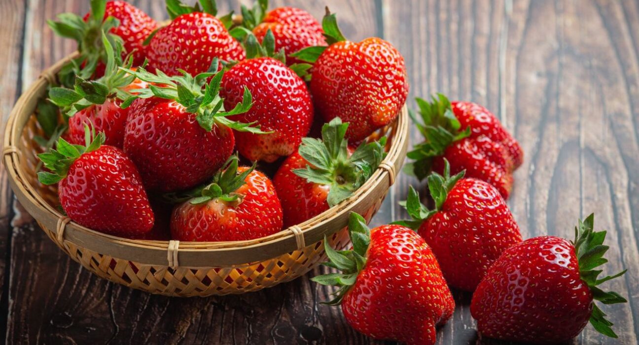 Festa do Morango chega à 28ª edição com show de Leonardo Eventos