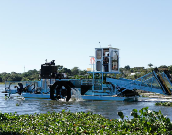 Plantas aquáticas não afetam a qualidade das águas do Paranoá Caesb
