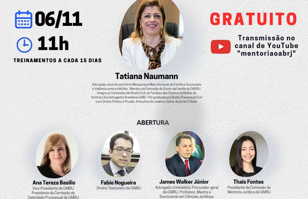 Aspectos Processuais da Lei Maria da Penha Rio de janeiro