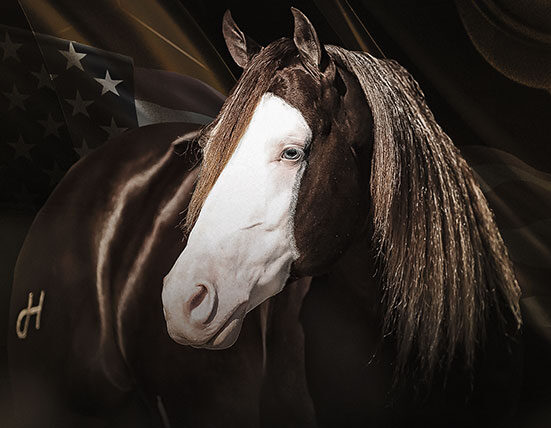 O extraordinário vem aí! o leilão de um dos maiores bancos de genética equina do mundo empreendedores