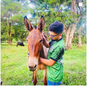 Jovem estudante goiano desenvolve técnica de como educar caes com simples aprendizado na universidade e coleciona clientes no Estado de Go Geral
