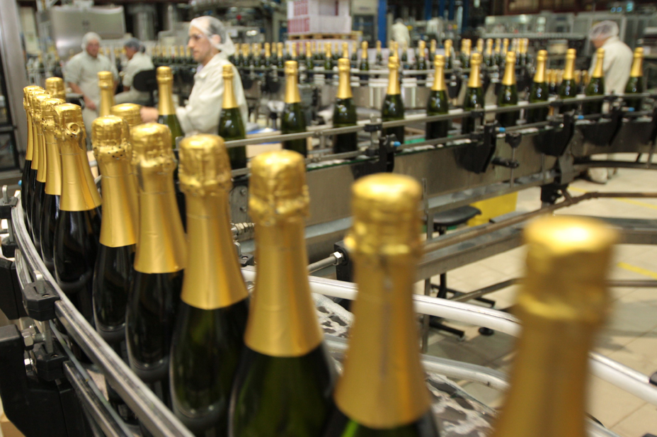 Inteligência de dados e uso de algoritmos transforma a elaboração dos espumantes mais consumidos do Brasil Gastronomia