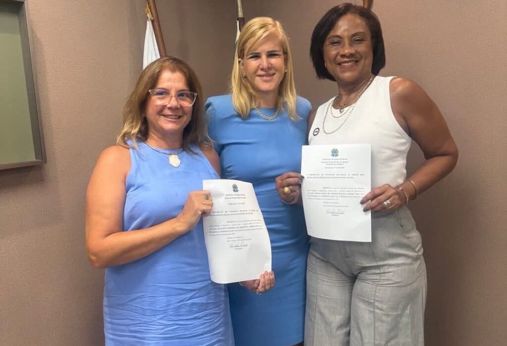 Ana Tereza Basílio: Novos presidentes de comissões. Rio de janeiro