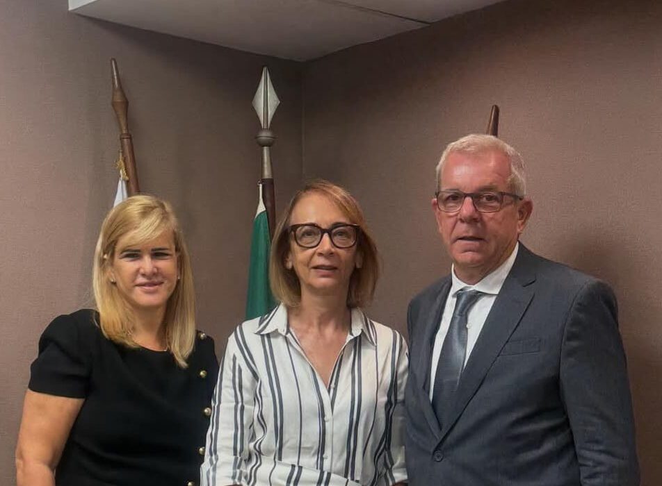 Diretoria e Comissão Rio de janeiro