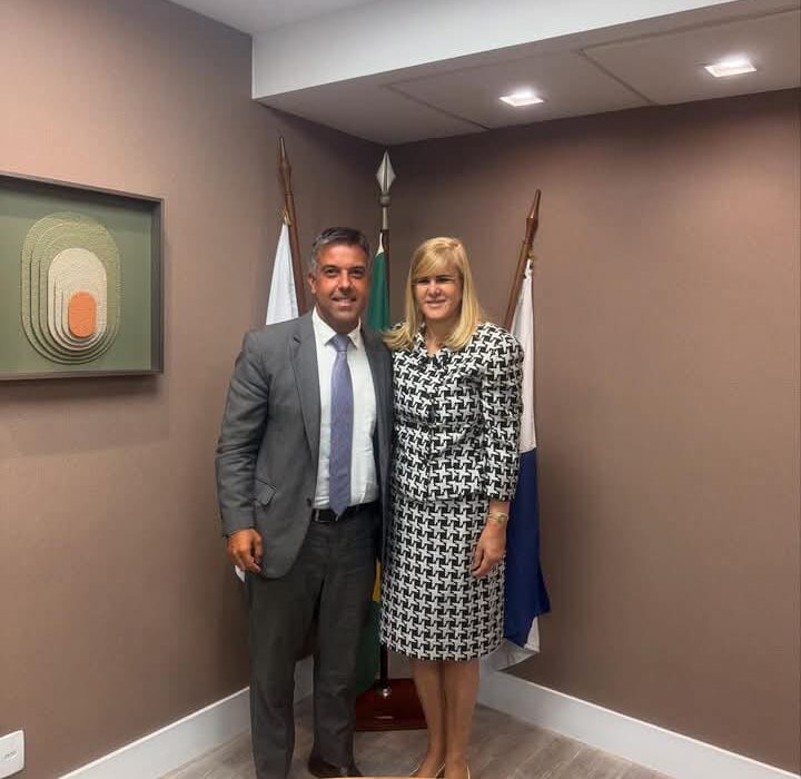 Estudos Regulatórios da Transição Energética Rio de janeiro