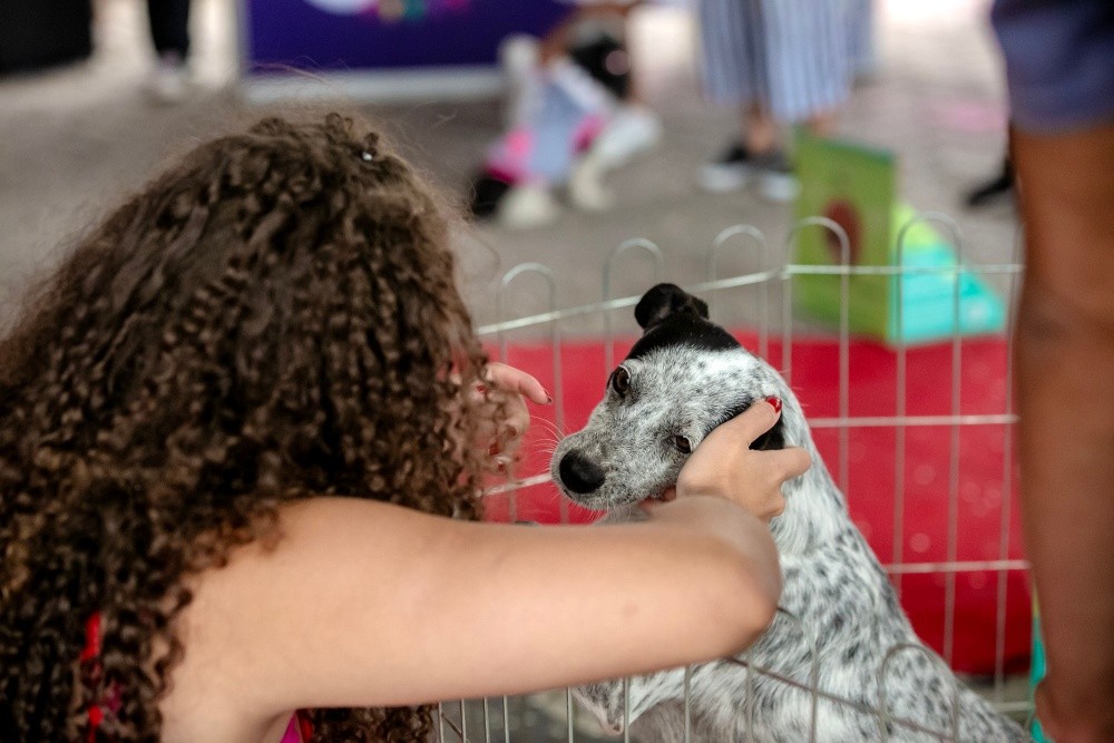 Foliões do Boulevard: Carnaval gratuito e inclusivo para toda a família Eventos