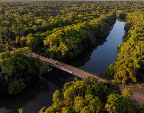 No ano da COP30 no Brasil, Agropalma reafirma compromisso com práticas de desmatamento zero e combate às mudanças do clima Sustentabilidade