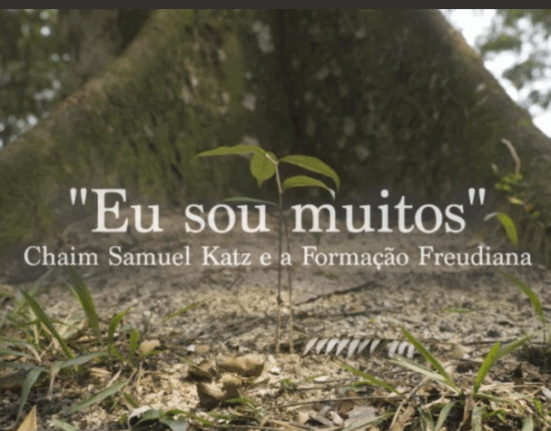 Documentário celebra os 30 anos da Formação Freudiana  Eventos