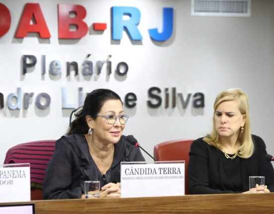 Impactos jurídicos e estratégias de prevenção Rio de janeiro