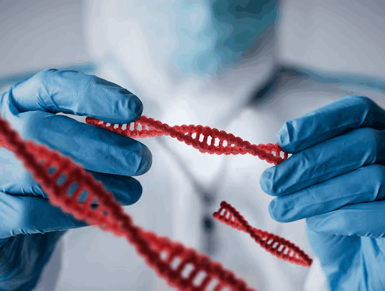 Você sabe como a genética influencia a sua vida? Bióloga e geneticista, Susana Massarani, alerta para a importância de dar atenção aos seus genes Rio de janeiro