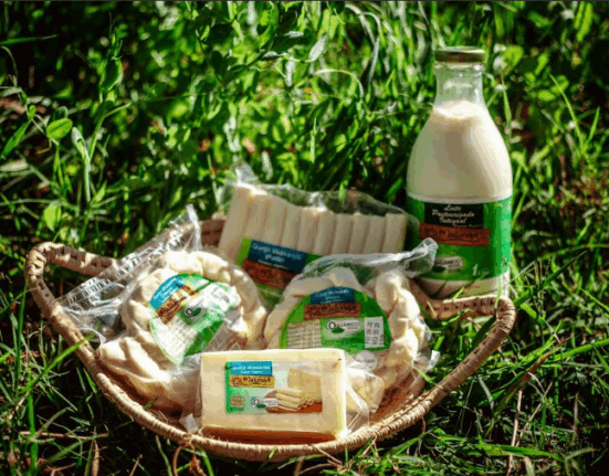 Você já ouviu falar em leite A2A2? Descubra como esse tipo de leite pode trazer mais qualidade e saúde para sua alimentação Caesb