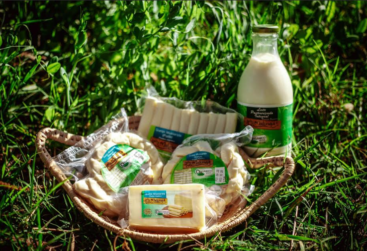 Você já ouviu falar em leite A2A2? Descubra como esse tipo de leite pode trazer mais qualidade e saúde para sua alimentação bem-estar