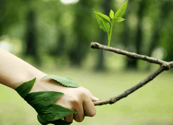 Licenciamento Ambiental: agilidade, sim; retrocesso, não! Embrapa