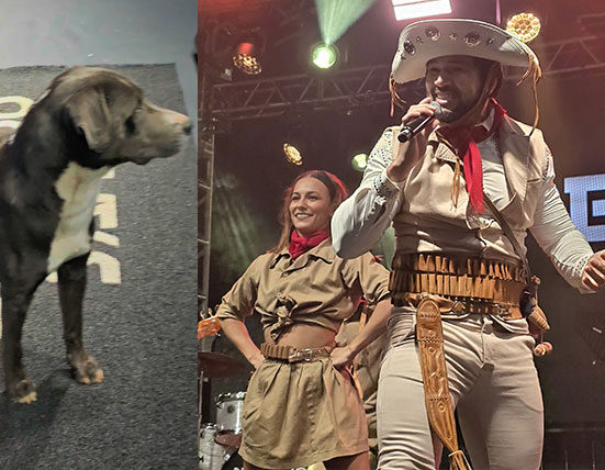 Cachorro sobe ao palco após locutor anuncia o cantor Geral