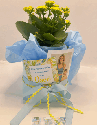 26 de julho - Dia dos Avós Remembear lança coleção encantadora para o Dia dos Avós: “Jardim dos Avós” celebra o amor que floresce entre gerações Rio de janeiro