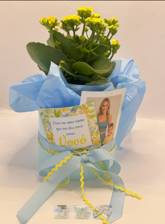 26 de julho - Dia dos Avós Remembear lança coleção encantadora para o Dia dos Avós: “Jardim dos Avós” celebra o amor que floresce entre gerações Dicas