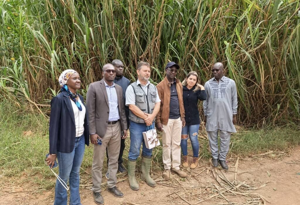 Fazenda Malunga e Senegal fortalecem parceria em prol da agricultura sustentável Internacional